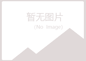 河北夜山能源有限公司